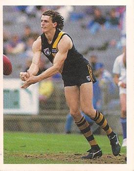 1993 Select AFL Stickers #189 Brendon Gale Front